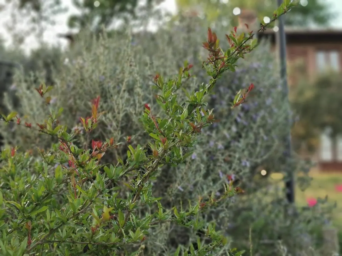 Country house Poggio Giulia Guest House Montaione